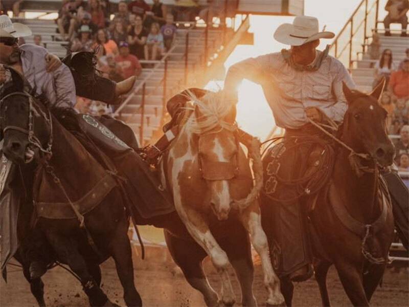 Rodeo at the Madison County Fairgrounds