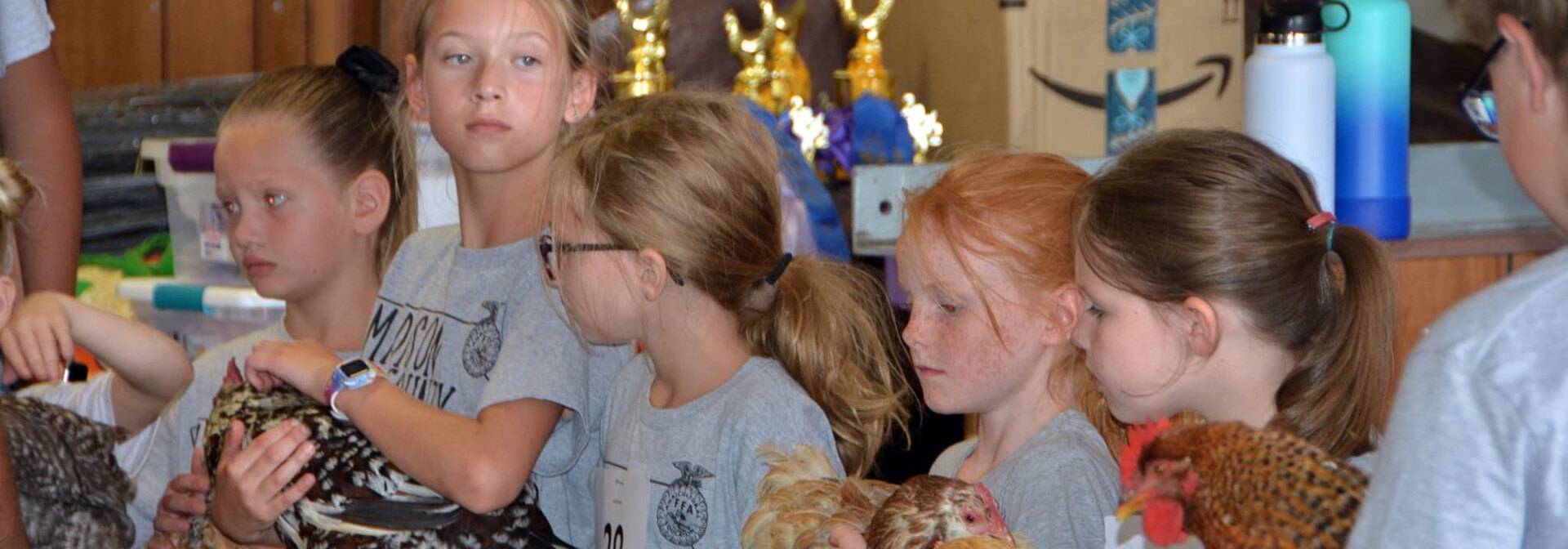 Five young girls showing chickens at the Madison County Fair